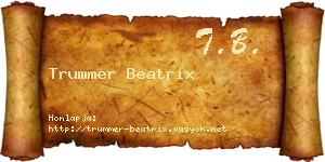 Trummer Beatrix névjegykártya